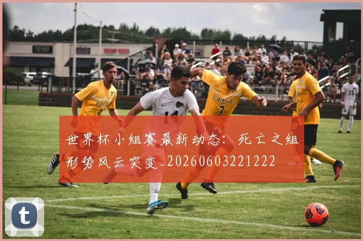 世界杯小组赛最新动态：死亡之组形势风云突变_20260603221222