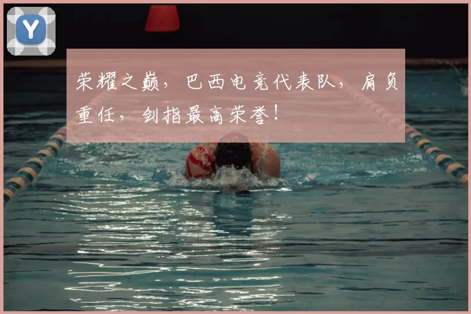 荣耀之巅，巴西电竞代表队，肩负重任，剑指最高荣誉！